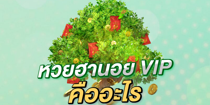 หวยฮานอย VIP คืออะไร